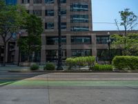 the green paint is painted on a bike path in front of an office building and large, trees