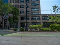 the green paint is painted on a bike path in front of an office building and large, trees