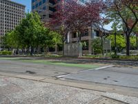 the green paint is painted on a bike path in front of an office building and large, trees