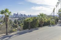 Bustling City Street with Palm Trees