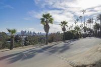 Bustling City Street with Palm Trees