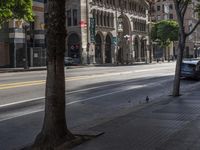 a busy street and curb with two cars parked along it and birds walking along the curb near the road