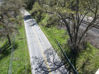 Aerial View of California: A Straight Road Through Lush Vegetation