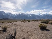 California's Alabama Hills: Desert Roads and Open Spaces