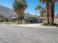 California Architecture: Clear Sky and Palm Trees