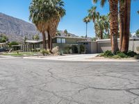 California Architecture: Clear Sky and Palm Trees