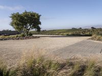 a person riding a skate board in the middle of the road, at a winery