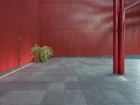 California Architecture: Urban Lines and Structures