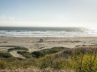 California's Asphalt Road Along the Ocean Waves