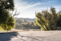 California Asphalt Road: Bathed in Sunlight and Surrounded by Nature