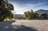 California Asphalt Road: Bathed in Sunlight and Surrounded by Nature