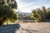 California Asphalt Road: Bathed in Sunlight and Surrounded by Nature