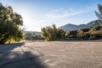 California Asphalt Road: Bathed in Sunlight and Surrounded by Nature