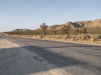 Exploring California Days: Asphalt Roads in Los Angeles