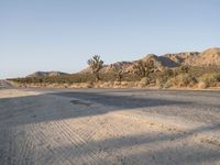 Exploring California Days: Asphalt Roads in Los Angeles