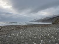 California Beach: Coastal Dawn with Grey Sky