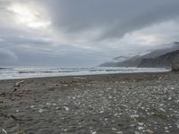 California Beach: Coastal Dawn with Grey Sky