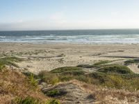 California Beach: A Gloomy Landscape