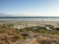 California Beach: A Gloomy Landscape