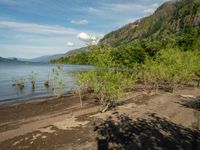 the beach and mountains is full of trees in this photo from the park's shoreline