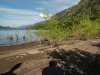 the beach and mountains is full of trees in this photo from the park's shoreline