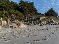 California Beach: The Beauty of the Ocean and Water