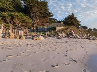 California Beach: The Beauty of the Ocean and Water