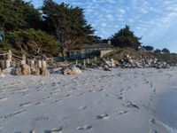 California Beach: The Beauty of the Ocean and Water