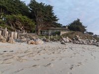 California Beach: The Beauty of the Ocean and Water
