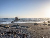 a grassy field by the shore and a cliff with rocks in the ocean in the background