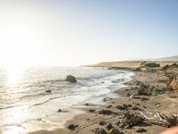 a grassy field by the shore and a cliff with rocks in the ocean in the background