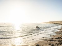 a grassy field by the shore and a cliff with rocks in the ocean in the background