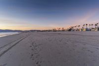 a beach with footprints and palm trees at the sunset time in california shores, ca