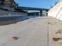 a dog lying down on the ground next to a concrete wall with a bridge in the background