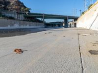 a dog lying down on the ground next to a concrete wall with a bridge in the background