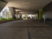 empty, long walkway with windows at the end and plants in the background of this building