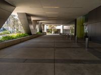 empty, long walkway with windows at the end and plants in the background of this building