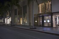 a city street with some trees and a building in the background at night time with palm trees and windows lit by lights