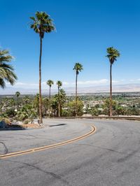 California Cityscape Overview Palm Springs 002