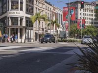 California Cityscape with Palm Trees and Asphalt Roads