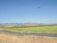 California Clear Sky Over Grassy Plains (002)