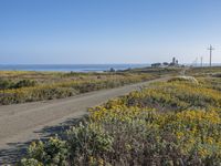 California Coast with Clear Sky over Ocean Shore