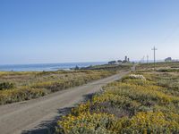 California Coast with Clear Sky over Ocean Shore