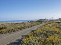 California Coast with Clear Sky over Ocean Shore 003