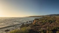 a grassy field by the shore and a cliff with rocks in the ocean in the background