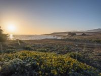 a grassy field by the shore and a cliff with rocks in the ocean in the background