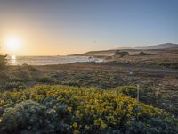 a grassy field by the shore and a cliff with rocks in the ocean in the background