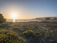 a grassy field by the shore and a cliff with rocks in the ocean in the background