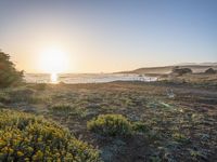 a grassy field by the shore and a cliff with rocks in the ocean in the background