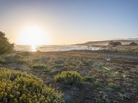 a grassy field by the shore and a cliff with rocks in the ocean in the background